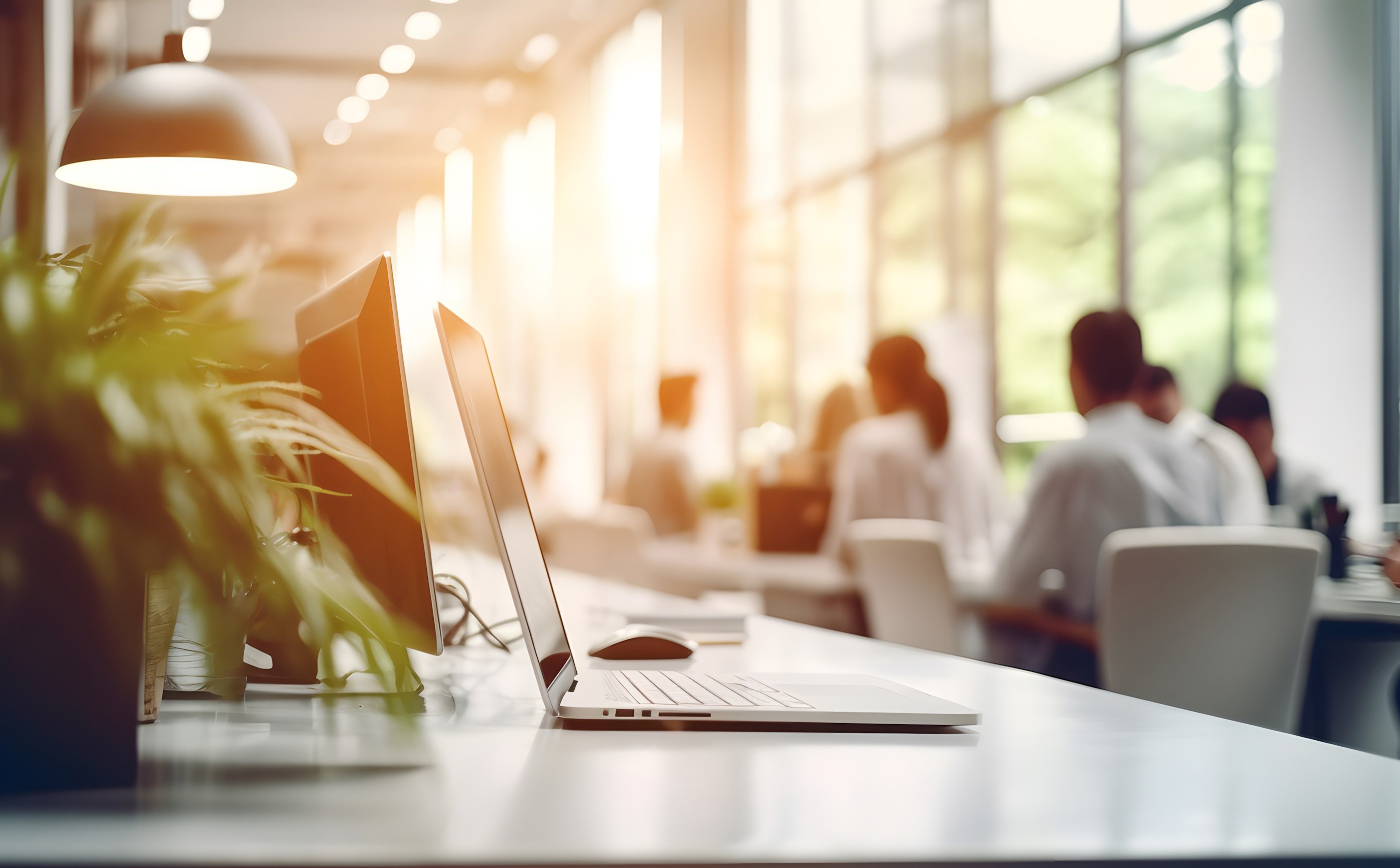 Grudniowy zjazd na portalach pracy