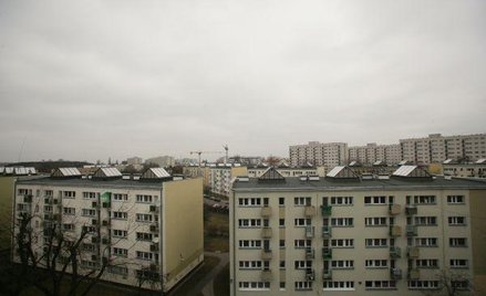 Członek otrzyma odpis statutu spółdzielni