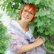 Winobranie to nasz karnawał