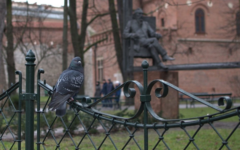 Kraków uchodzi za „stolicę” bezdomnych.