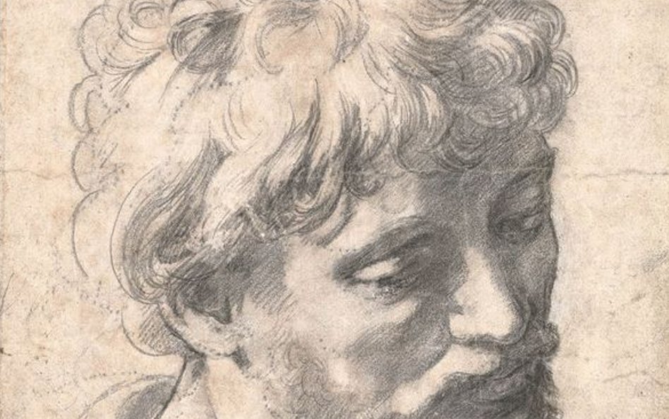 Rafael „Studium Głowy Apostoła”