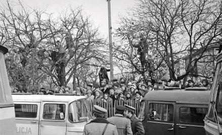 Sprawa Połaniecka stała się szybko słynna w całej Polsce. Wizja lokalna, podczas której odtworzono p