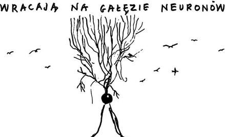 Rysuje Janusz Kapusta