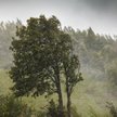 Początek tygodnia upłynie pod znakiem deszczu i wiatru