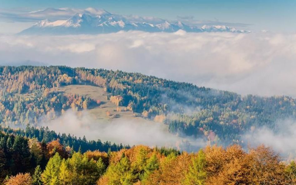 Górskie stanice narciarskie nie epatują gwiazdkami swoich hoteli, a widoki z nich zachwycają gości.