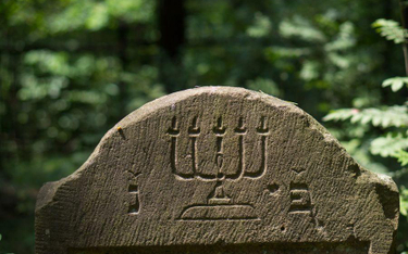 Pomogą odkryć polsko-żydowską przeszłość