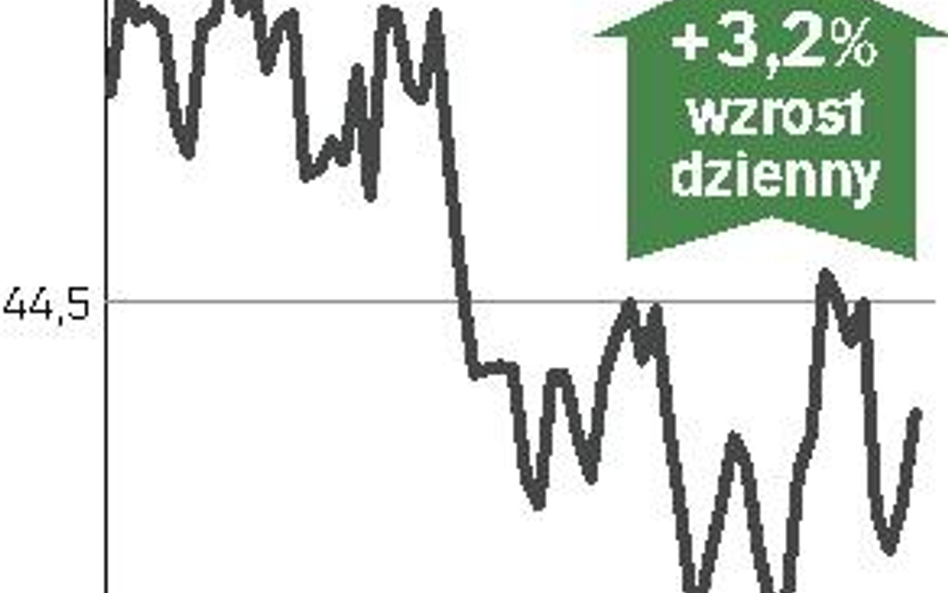 Warunki emisji uspokoiły inwestorów