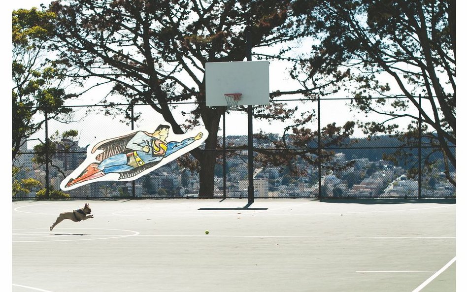 Katarzyna Piądłowska