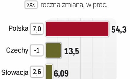 Czechy i Słowacja liczą na nowego gracza