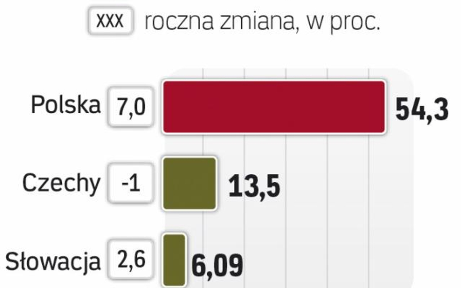 Czechy i Słowacja liczą na nowego gracza