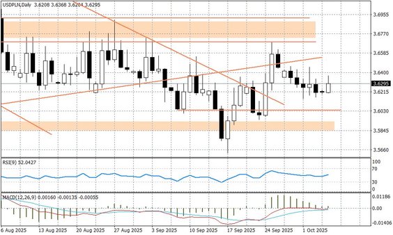 Wykres dzienny USDPLN