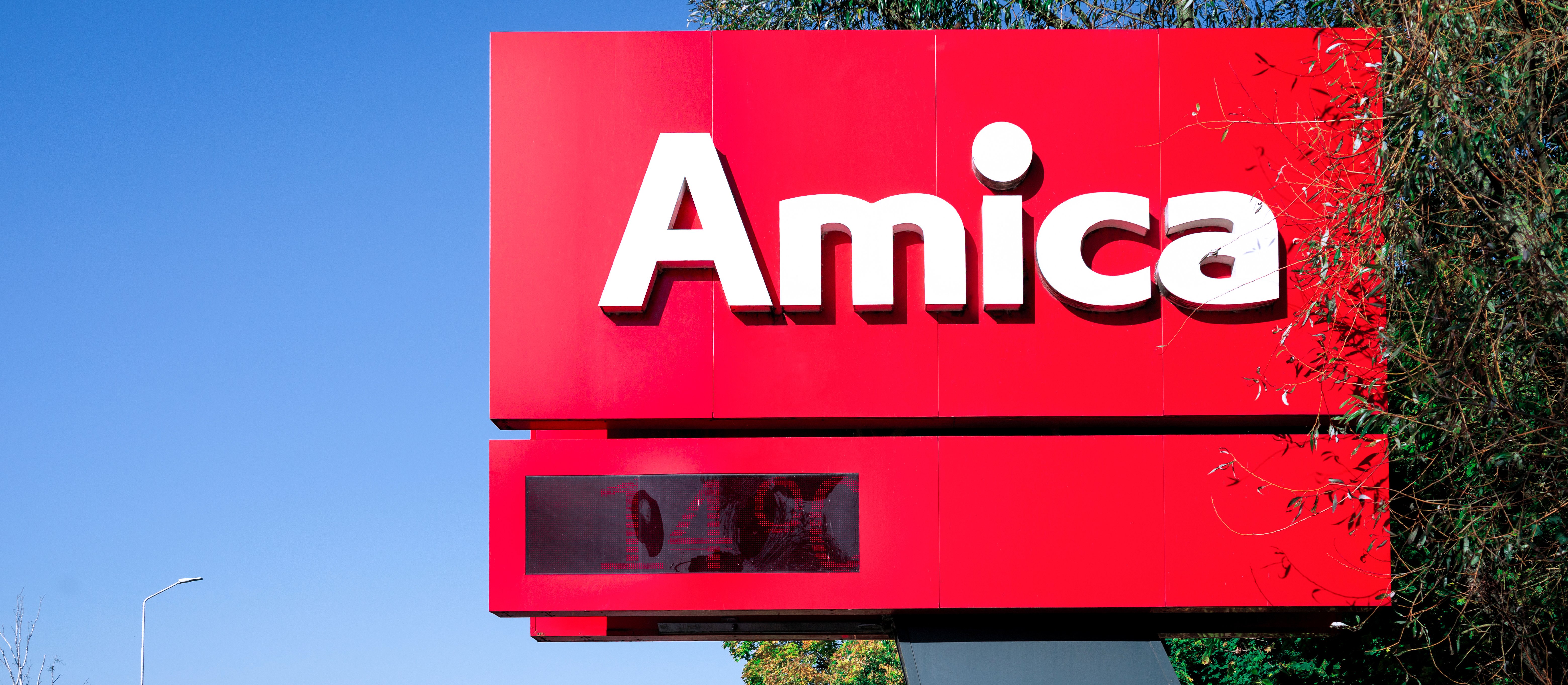 Analitycy widzą akcje Amiki dużo wyżej