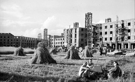 Piknik pod Wielkim Piecem: Nowa Huta w trakcie budowy. Fot. Stanisław Dąbrowiecki