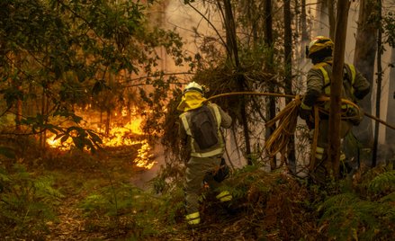 Tego lata pożary wywołane przez upały i suszę dotknęły także Hiszpanię.