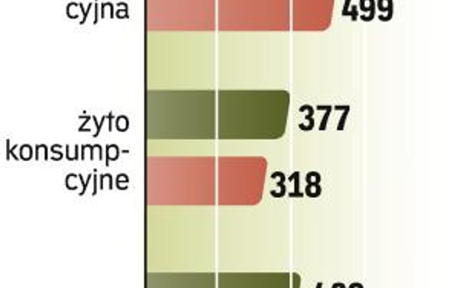 Rośnie import kukurydzy