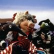 Kermit i Piggy kontra piraci
