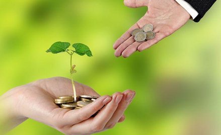 NIK: dotacje na ochronę przyrody i edukację ekologiczną wydawane lekką ręką