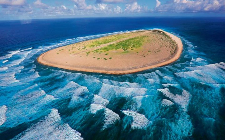 Garść piachu na środku oceanu