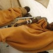 Ofiary epidemii cholery