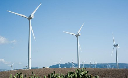 Pitera walczy z wiatrakami