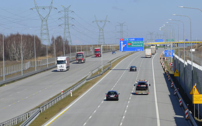 Polscy przewoźnicy z samochodami rejestrowanymi za granicą