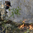 Amazonia płonie, ale w Angoli i Kongu pożarów było więcej