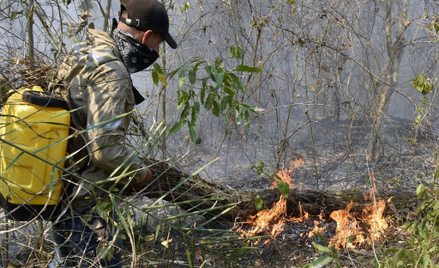 Amazonia płonie, ale w Angoli i Kongu pożarów było więcej