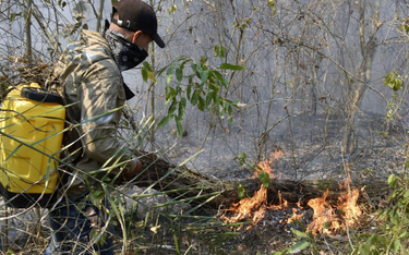 Amazonia płonie, ale w Angoli i Kongu pożarów było więcej