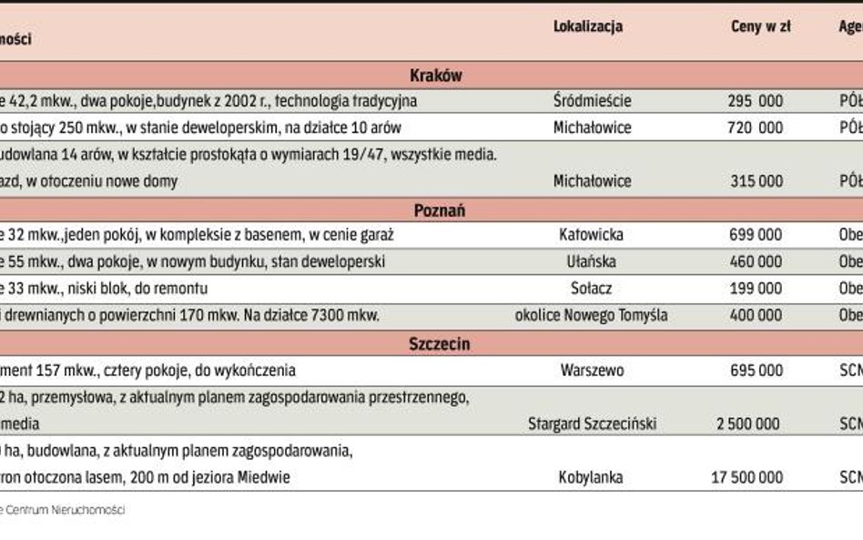 Wielka posiadłość za miliony, czyli fantazja ułańska