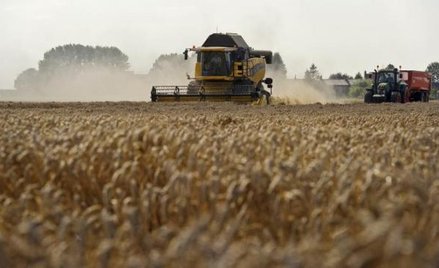 Konkursy w nowym programie dla wsi (PROW 2014-2020) ruszą w II kwartale br.