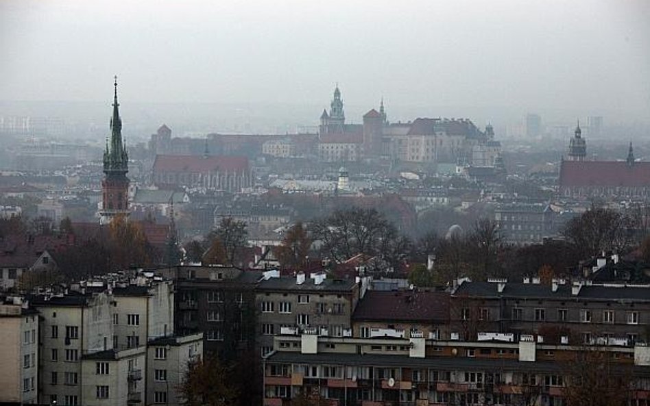 Zmniejszy się zapylenie nad Polską