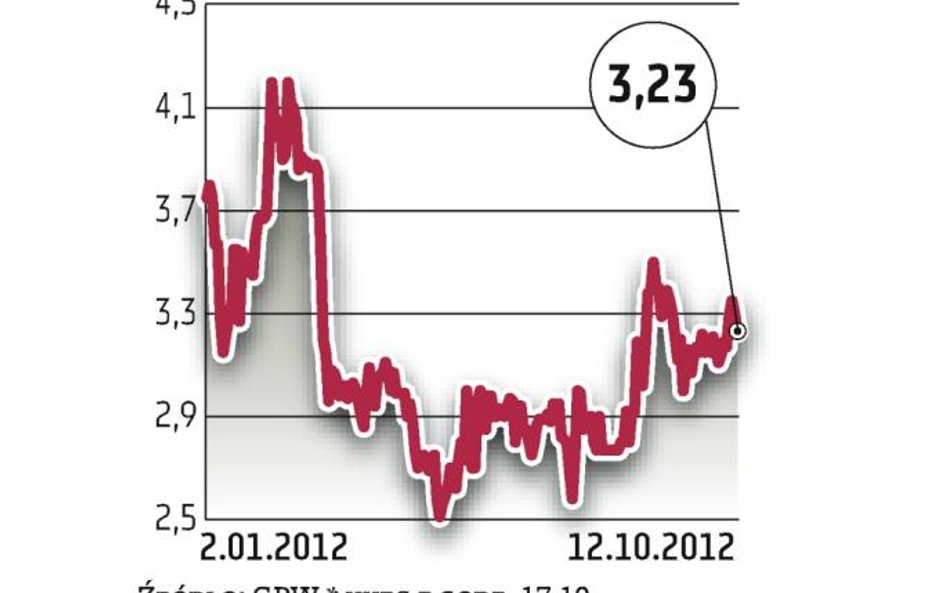 LSI?chce w 2013 r. wzrosnąć o 20 proc.