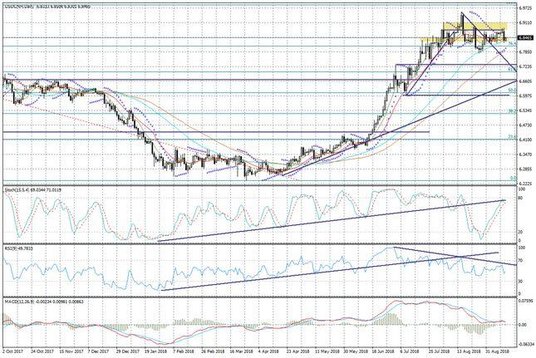 Wykres dzienny USDCNH