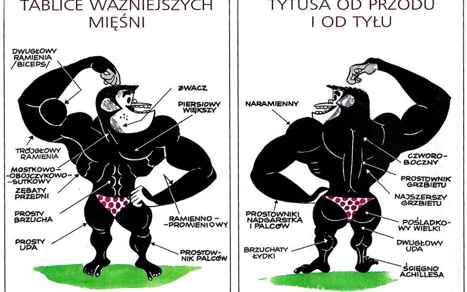 Komiksowy bojkot sportu?