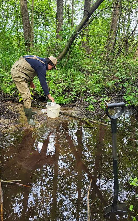 Nad jednym z wypływów wód podziemnych w dolinie górnej Jeziorki. Fot. Anna Matusiak