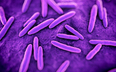 Rzecznik Praw Dziecka pyta o superbakterie na oddziałach pediatrycznych