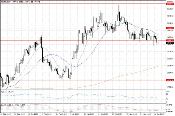 Notowania złota – dane dzienne