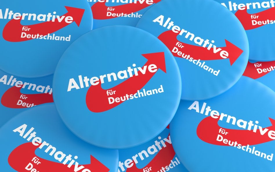 Marek A. Cichocki: AfD to reakcyjny ruch tożsamościowy