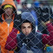Norwegia do Afgańczyków: Odsyłamy imigrantów
