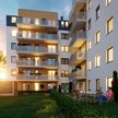 Zielony Żurawiniec na poznańskich Naramowicach