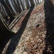 Jesienią co dziesiąty Polak popada w sezonową depresję