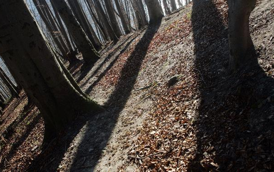 Jesienią co dziesiąty Polak popada w sezonową depresję