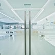 Diagnostyka. Dobre wyniki i giełdowy awans