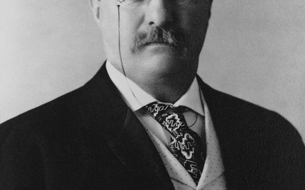 14 września 1901 r. - 4 marca 1909 r. Republikanin