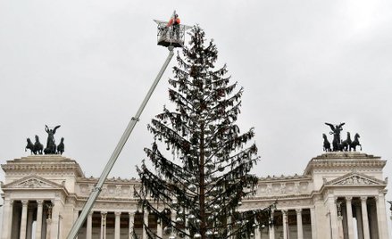 Przerobią słynną rzymską choinkę na chatkę do zabaw dla dzieci