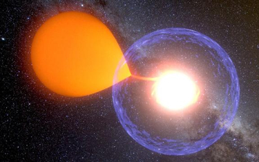 Artystyczna wizja układu V1213 Centauri. Karzeł wykrada materię z towarzyszącej mu gwiazdy