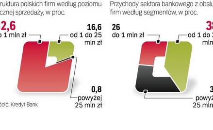 Roczne przychody ze sprzedaży powyżej 25 mln zł osiąga mniej niż co setna polska firma. Jednak ta gr