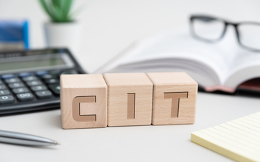 Już sześć spółek odprowadza do budżetu państwa ponad 1 mld zł podatku CIT