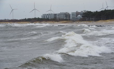 Wokół offshore zaczyna powstawać zupełnie nowy ekosystem przemysłowy. Na Pomorzu i w zachodniej częś
