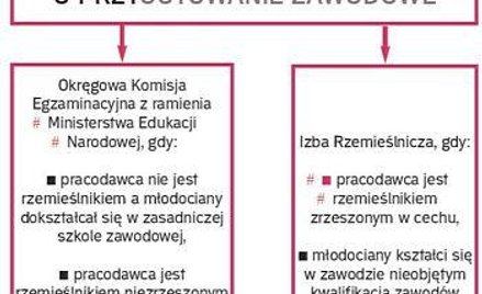 Dofinansowanie także dla przedsiębiorców spoza cechu
